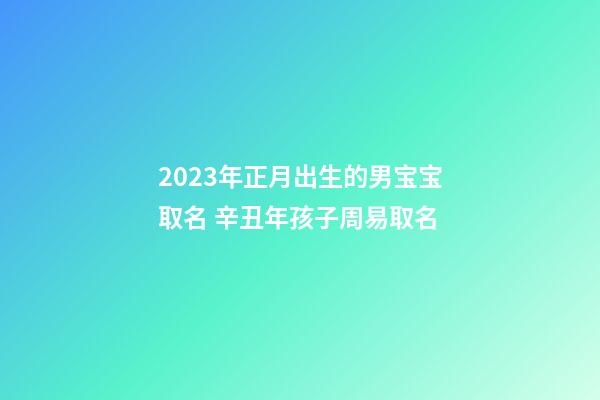 2023年正月出生的男宝宝取名 辛丑年孩子周易取名